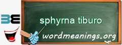 WordMeaning blackboard for sphyrna tiburo
